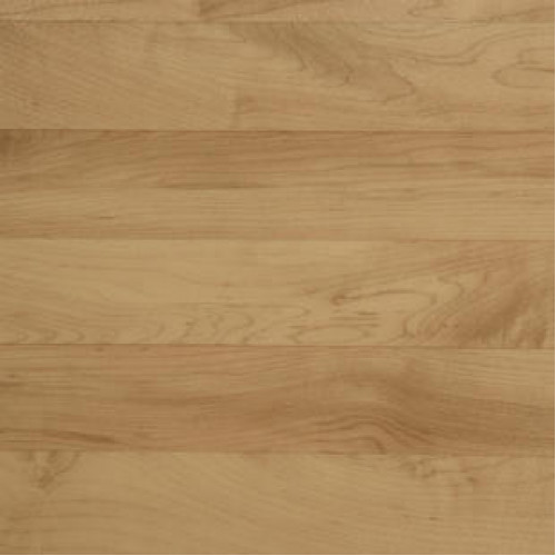 Спортивный линолеум Tarkett OMNISPORTS R83 OMNISPORTS MAPLE