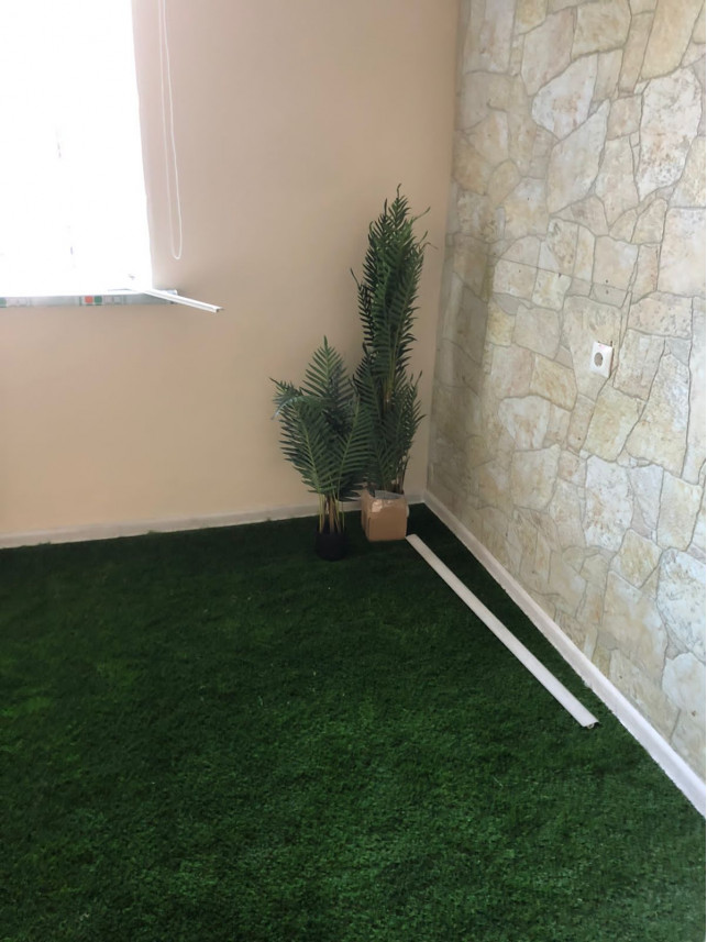 Помещение детского сада